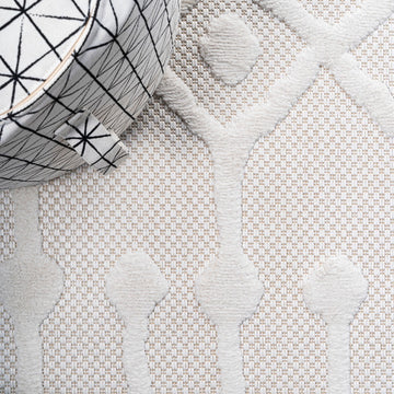 Peralta Moroccan Diamond Indoor/outdoor Area Rug